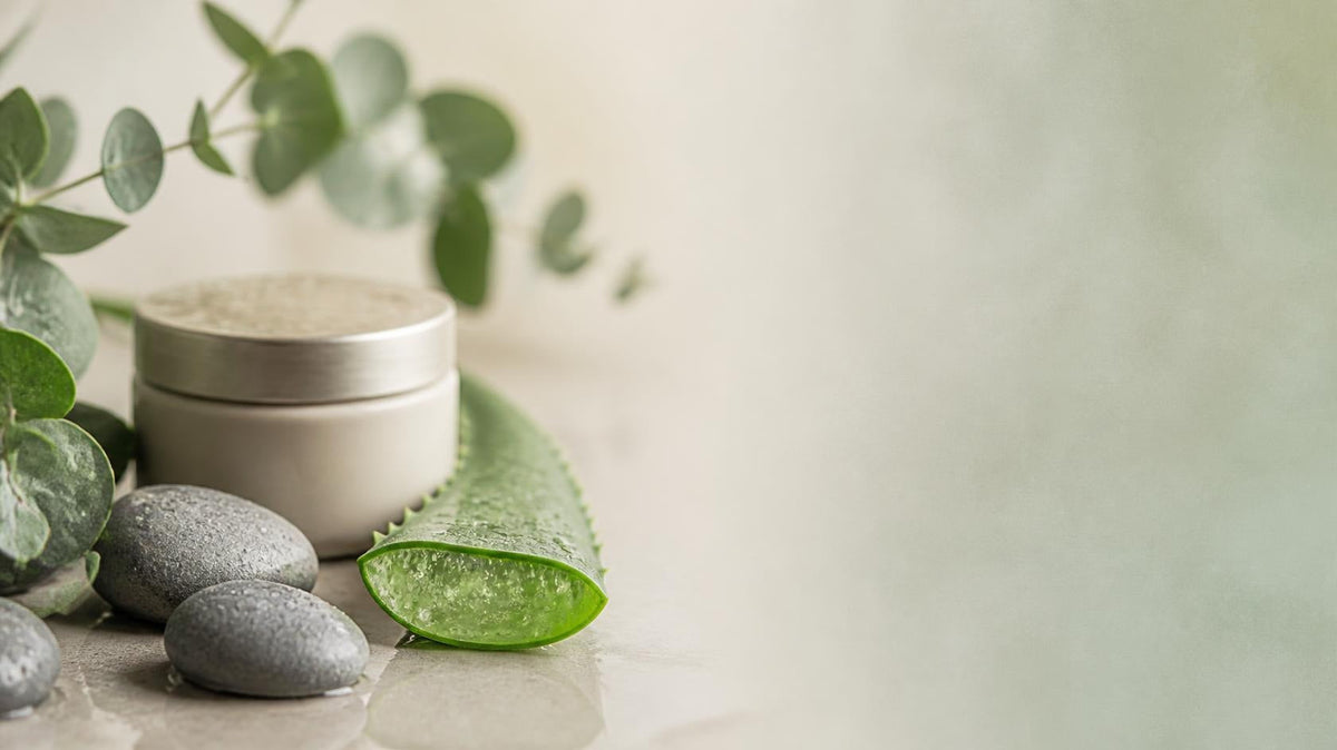 Beauty & Wellness