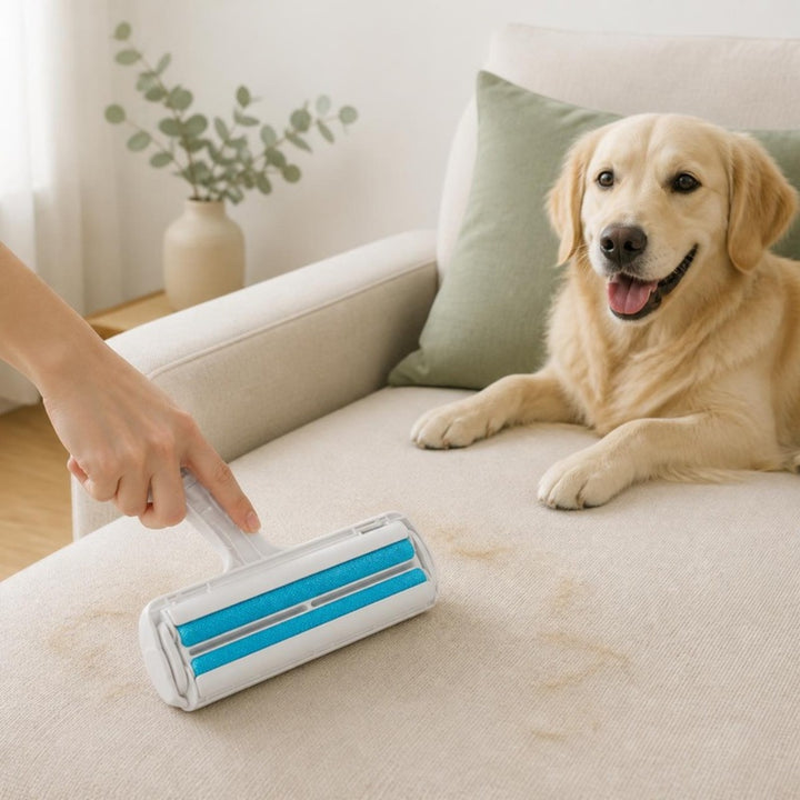Hand rolling the pet hair roller over a cream sofa next to a golden retriever